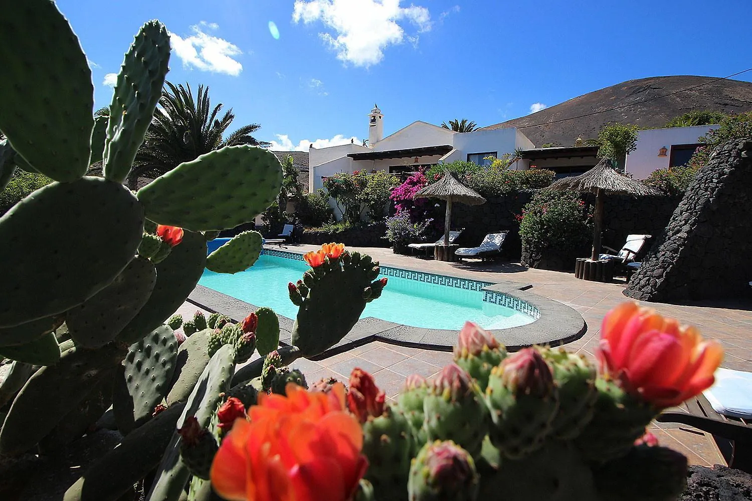 Apartment Roco 3 - Grosser Pool, Sauna, Meerblick, Entspannung Fuer 2 Personen La Asomada  Spain
